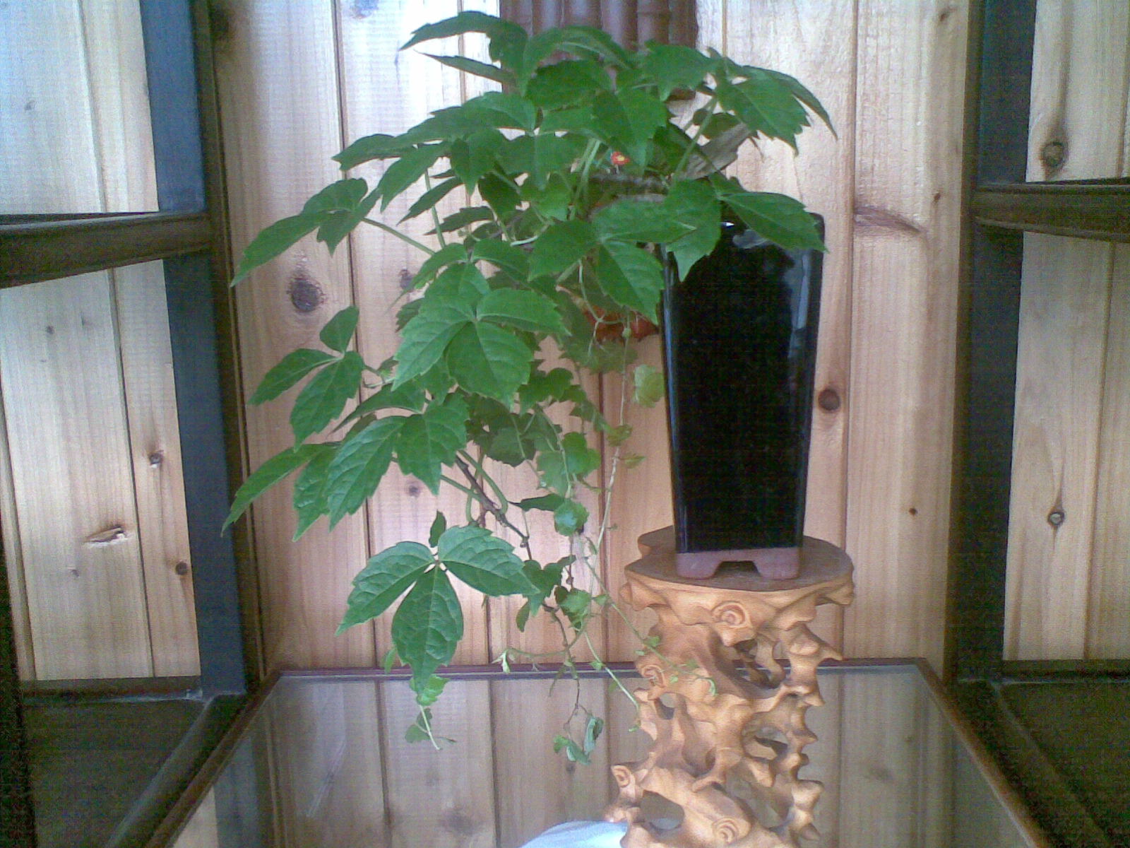 20120530(004).jpg