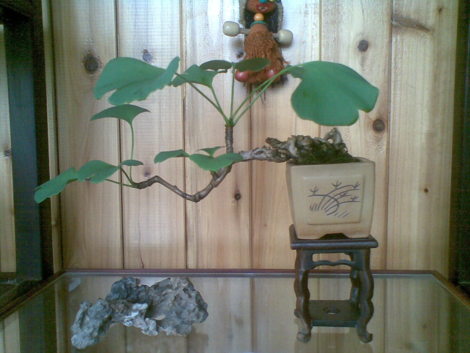 20120530(002).jpg