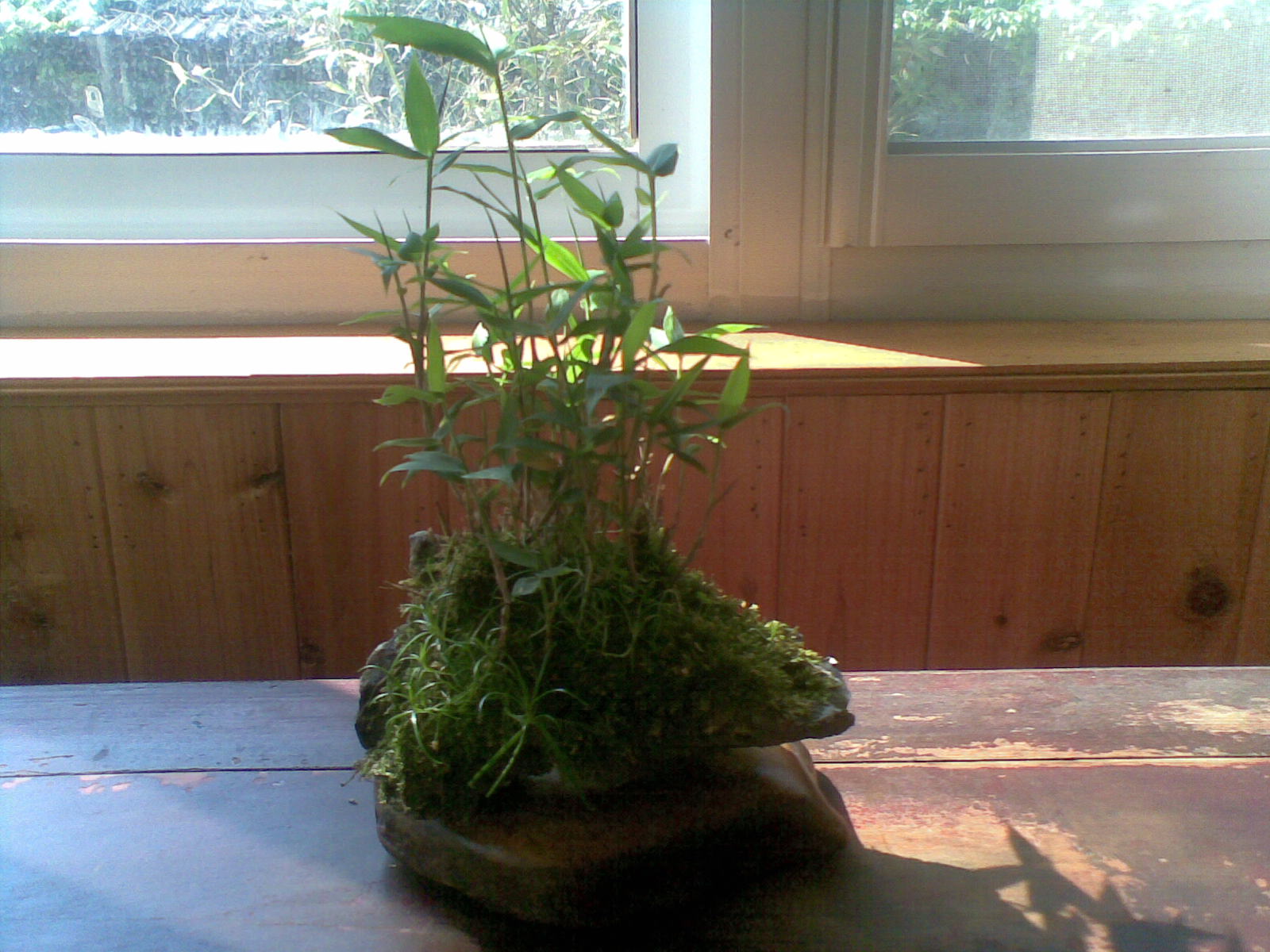 20120502(006).jpg