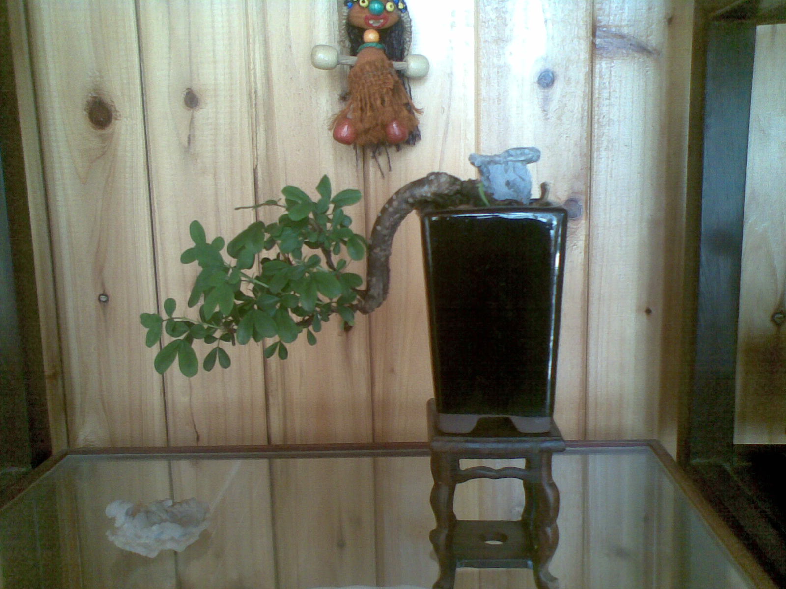 20120502(003).jpg