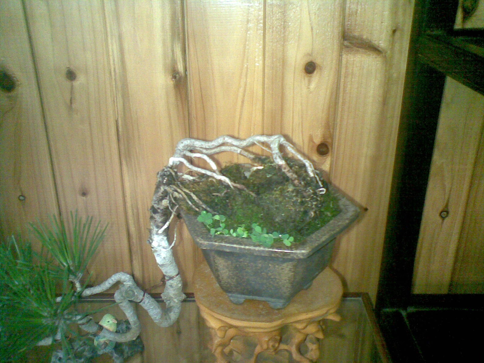 20120530(011).jpg