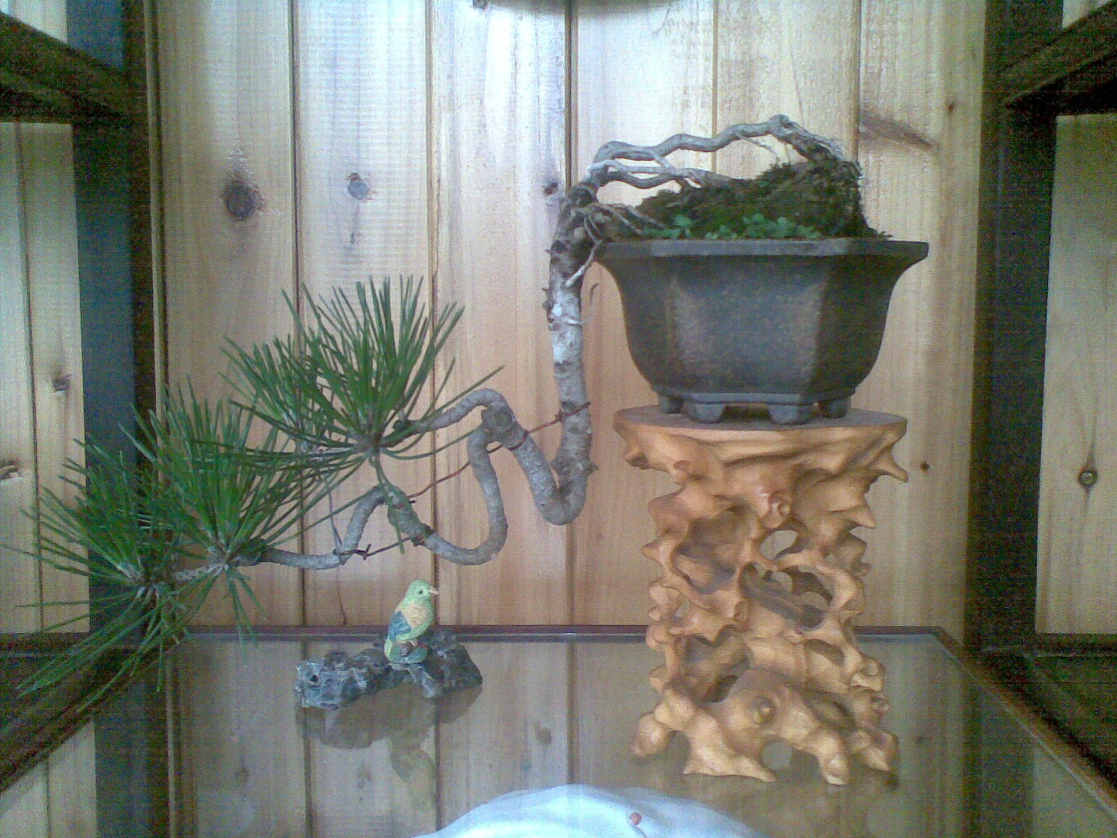 20120530(010).jpg