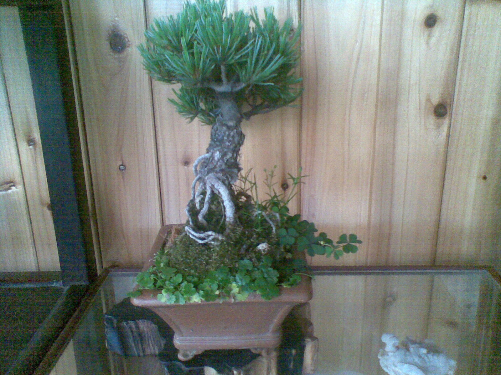 20120530(008).jpg