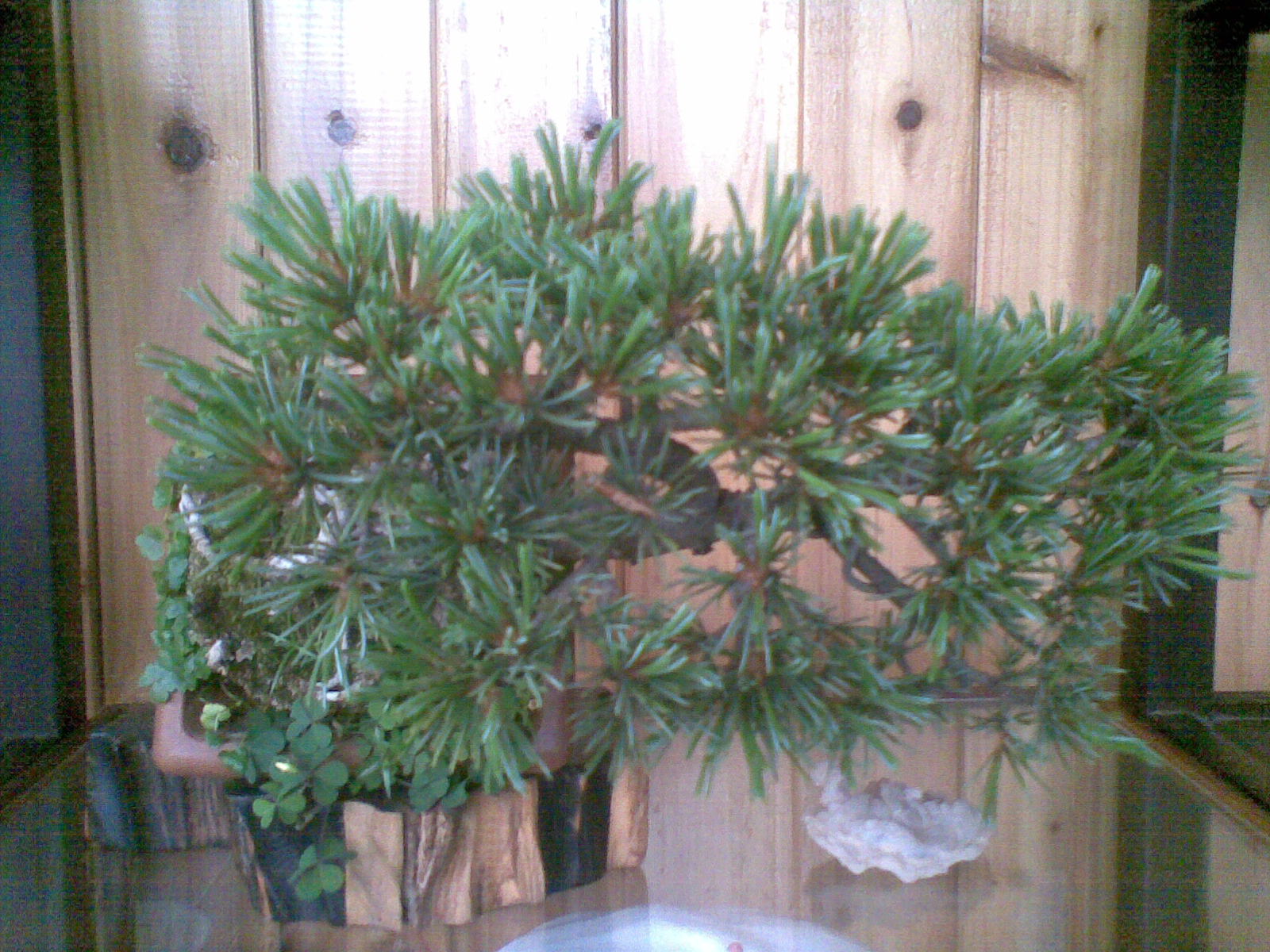 20120530(009).jpg