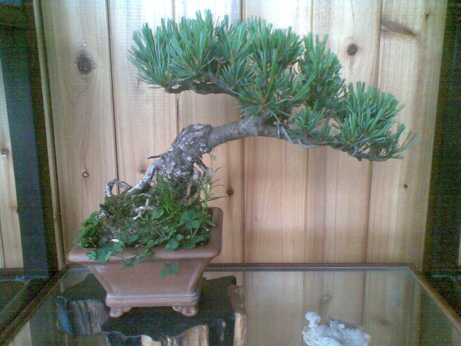 20120530(006).jpg