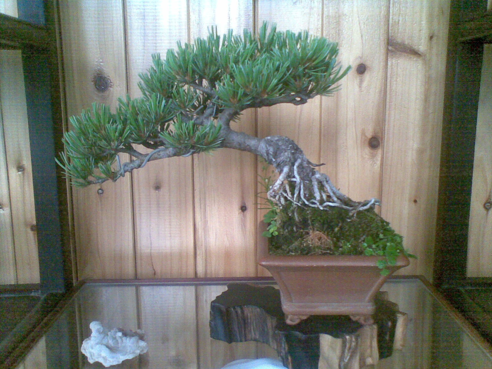 20120530(005).jpg