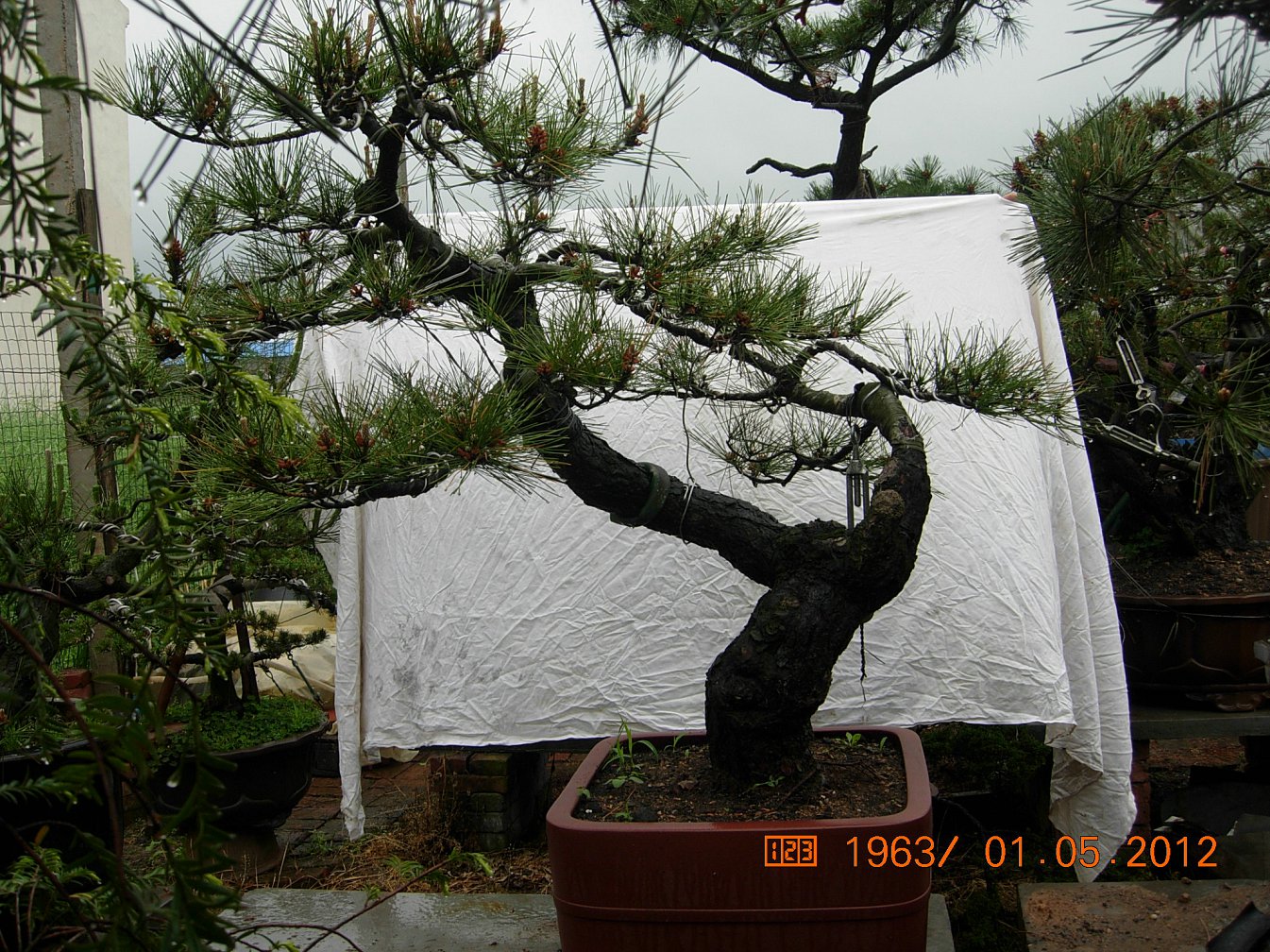 DSCN6017.JPG