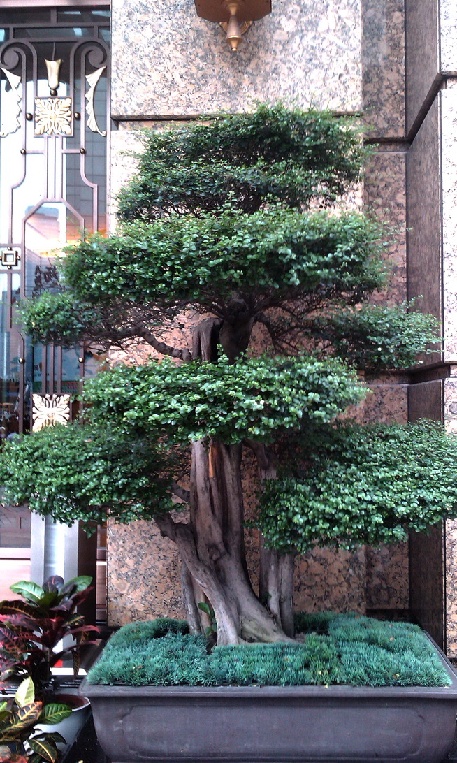 IMAG0009.jpg