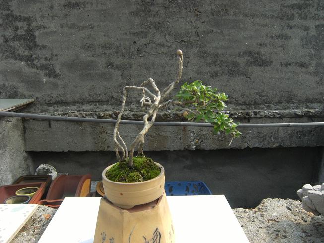 DSCF6445.JPG