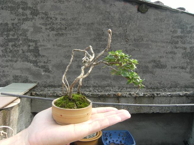 DSCF6454.JPG