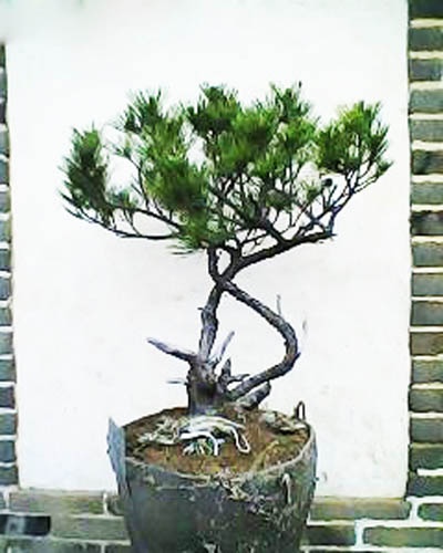 IMG0029A.jpg