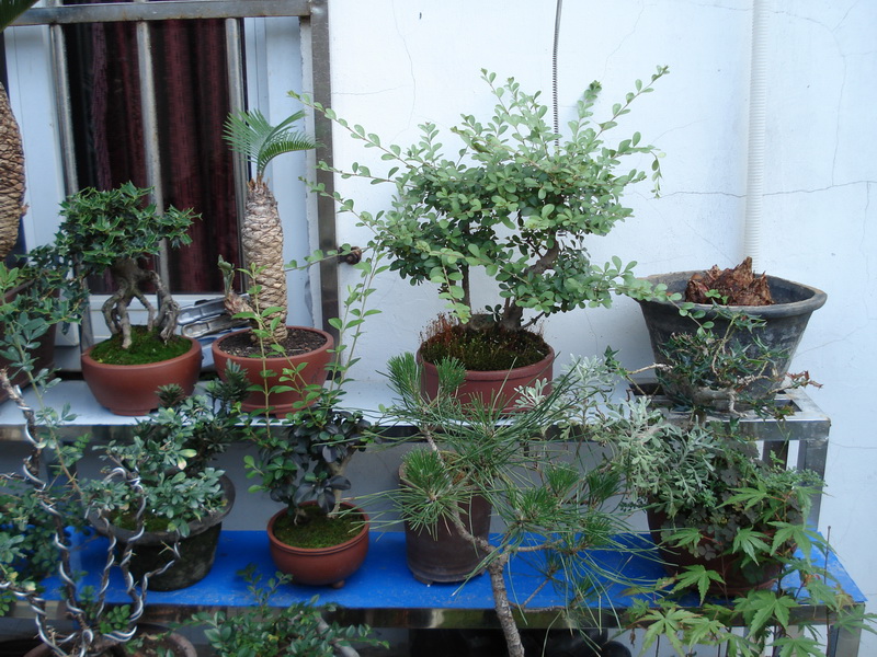 DSC01401.JPG