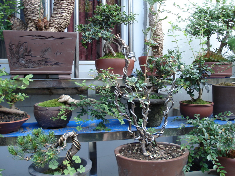 DSC01402.JPG