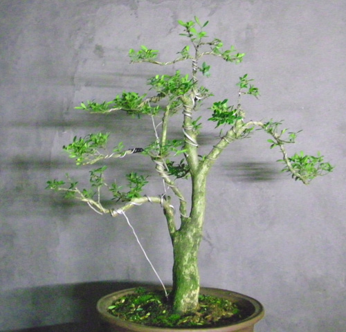 100_1692.jpg