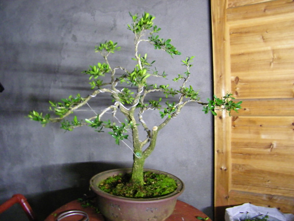 100_1696.jpg