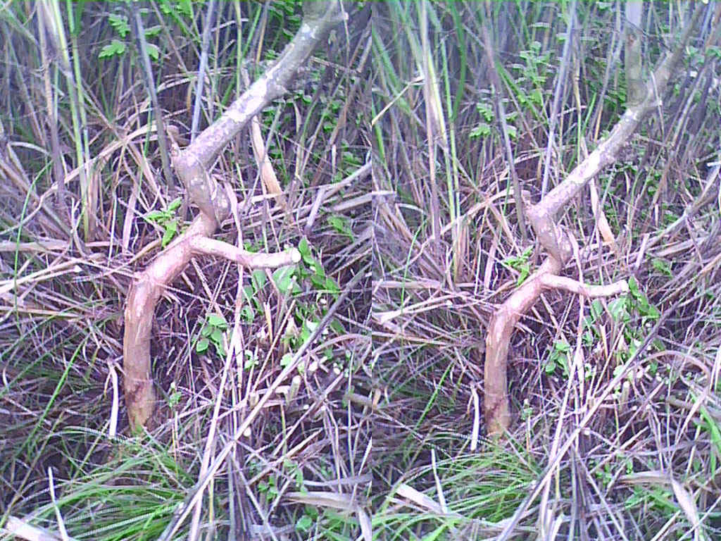 2012053106.jpg