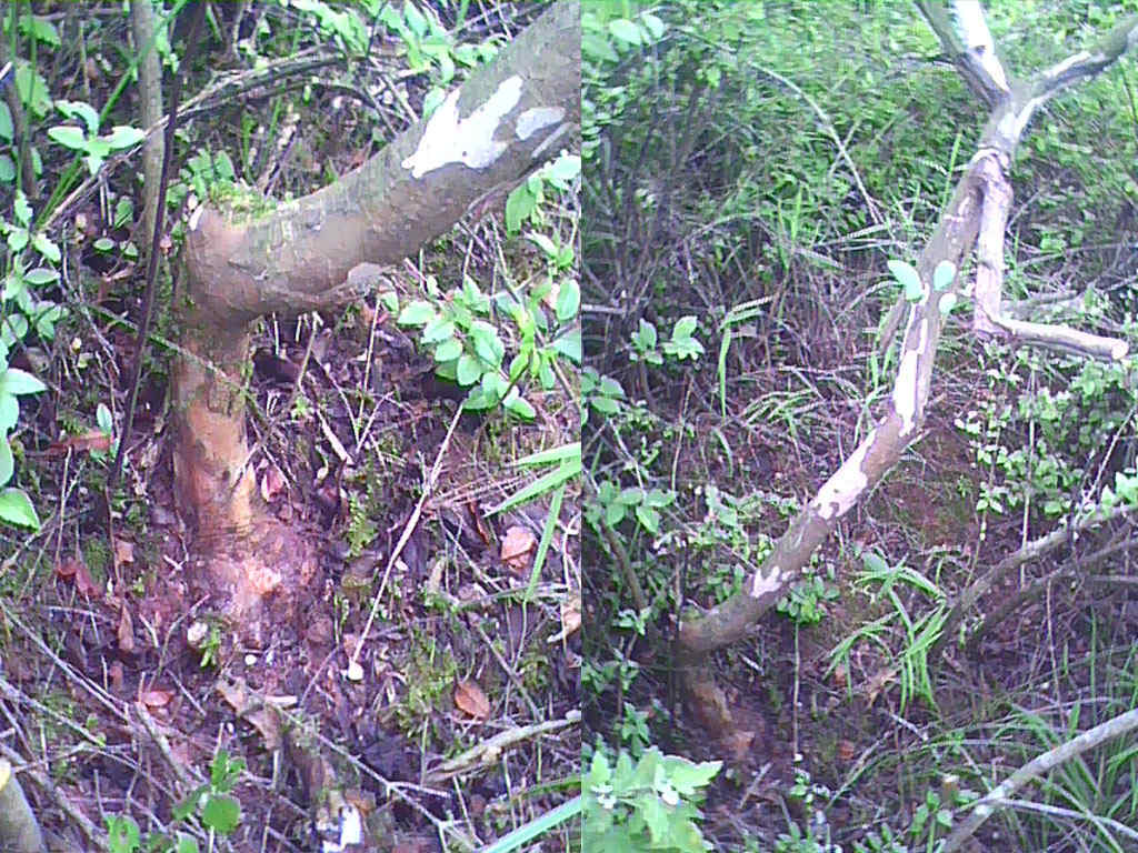 2012053107.jpg