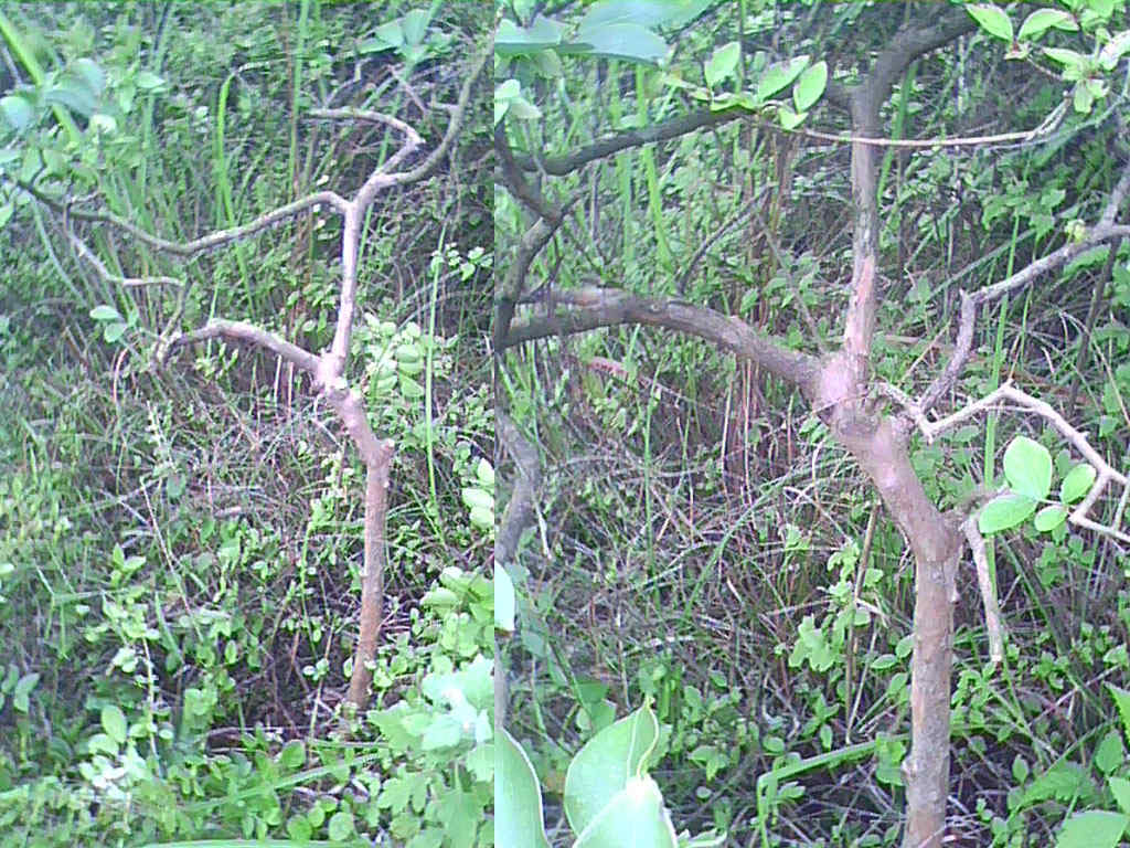 2012053108.jpg