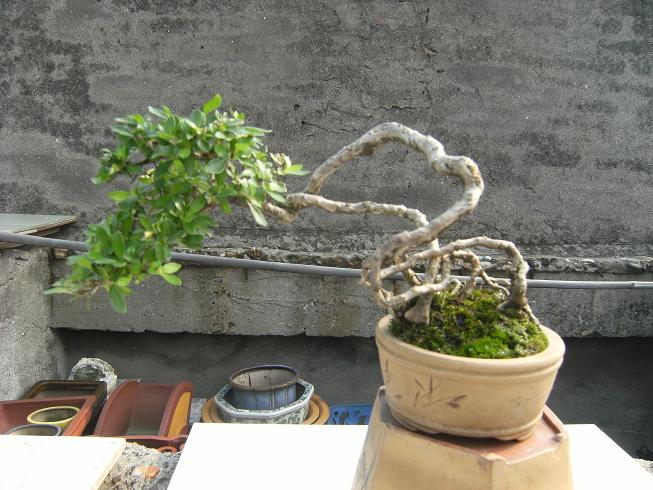 DSCF6467.JPG