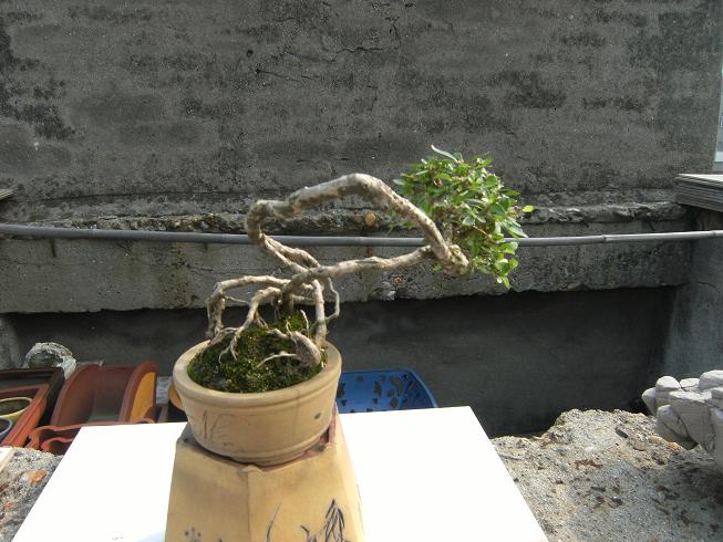 DSCF6469.JPG