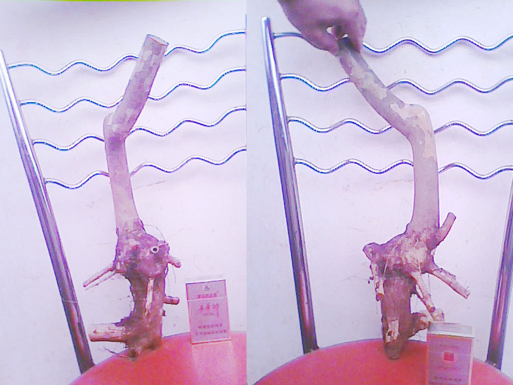 20120606.jpg