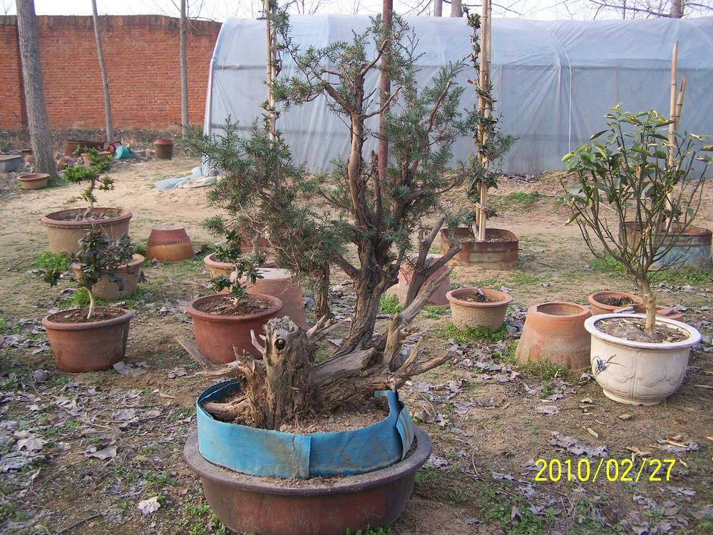 Ƭ 90143.jpg