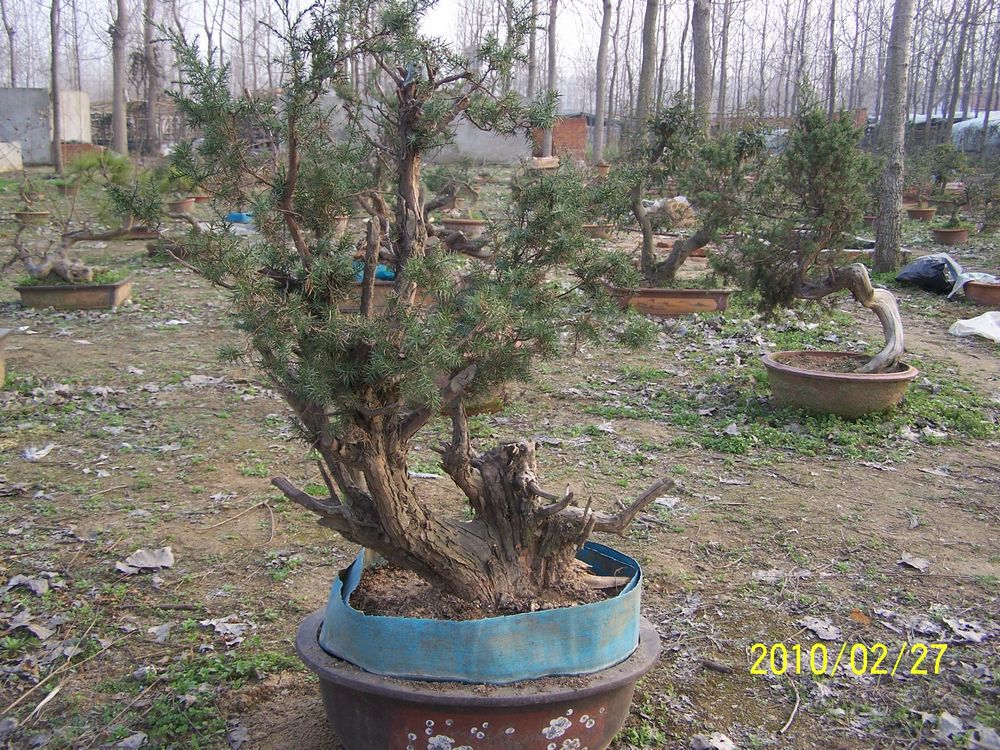 Ƭ 90144.jpg