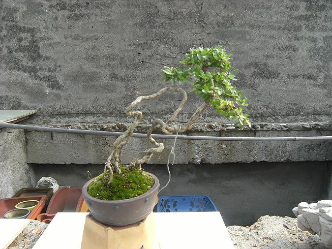 DSCF6449.JPG