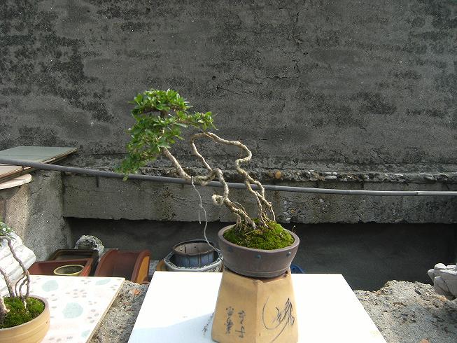 DSCF6450.JPG