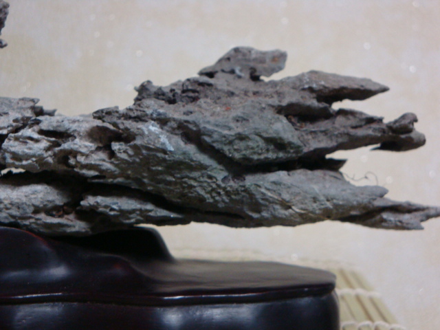 DSC09043.JPG