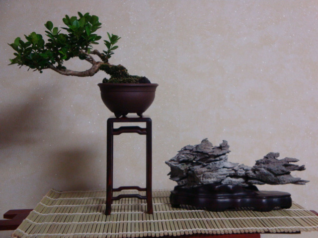 DSC09038.JPG