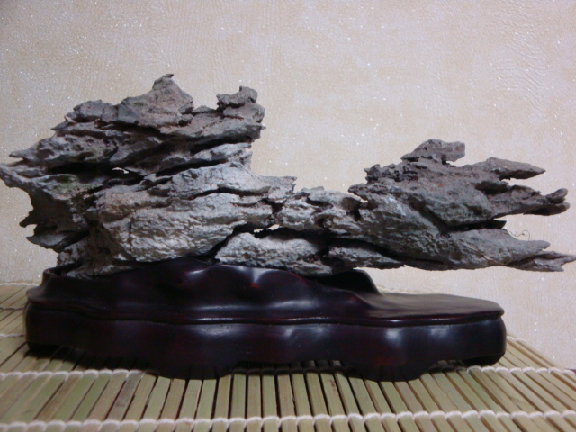 DSC09041.JPG