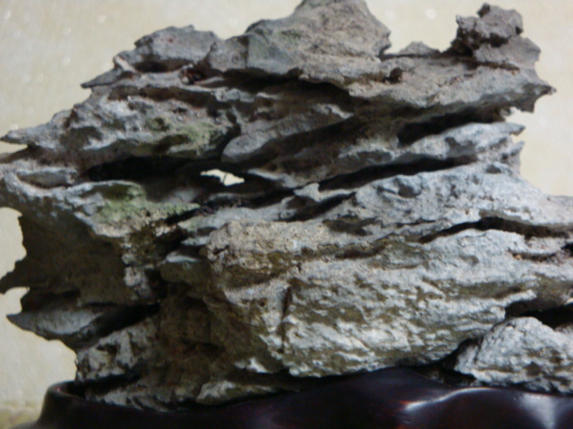 DSC09042.JPG