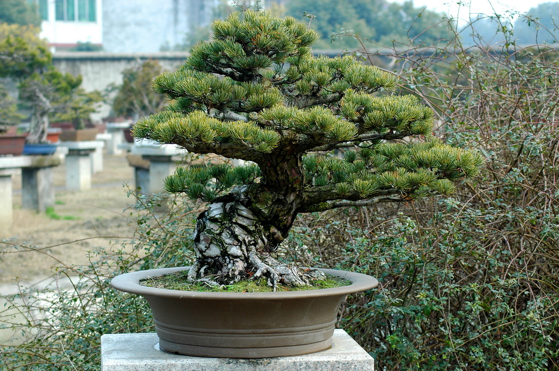 DSC_3429__С.jpg