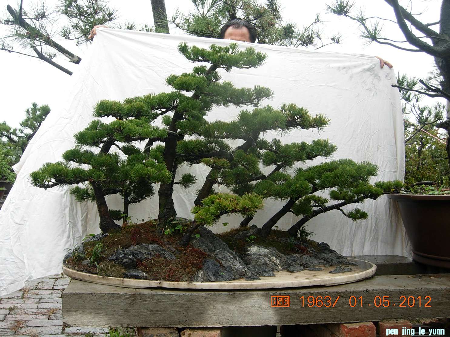 DSCN5997.JPG