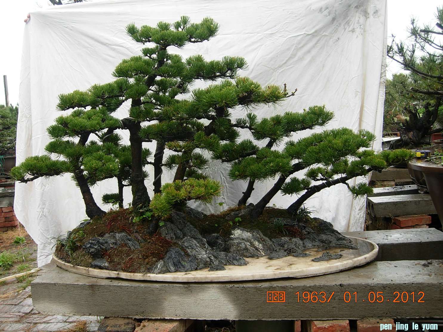 DSCN6002.JPG