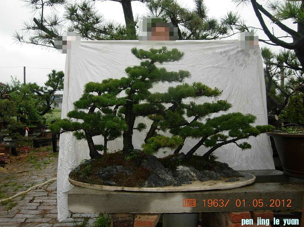DSCN5999.JPG