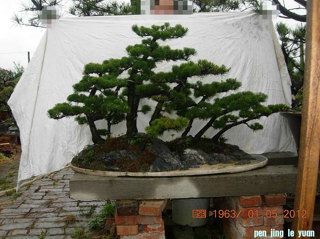 DSCN6001.JPG