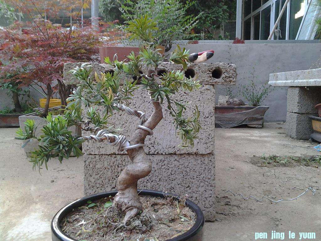 2012-06-02 18.30.35.jpg
