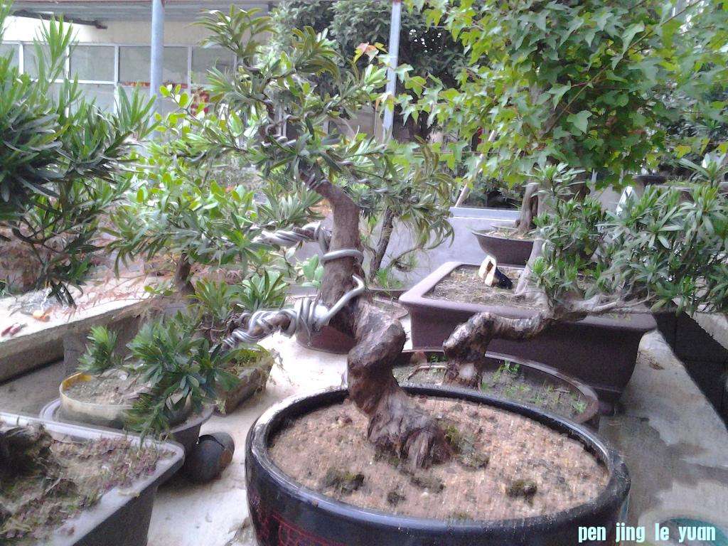 2012-06-02 19.07.06.jpg