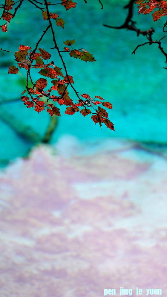 DSC_7390.jpg