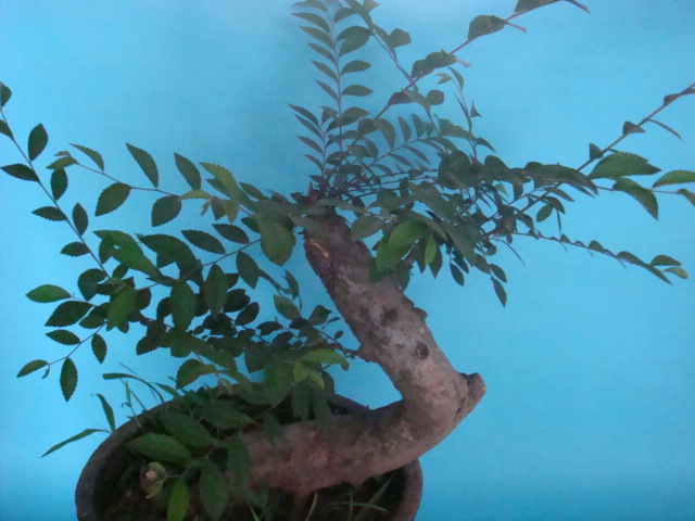 DSC02612.JPG