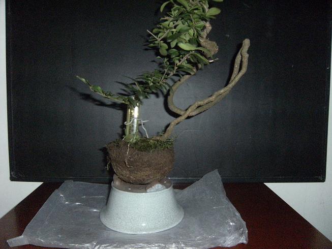 DSCF6524.JPG