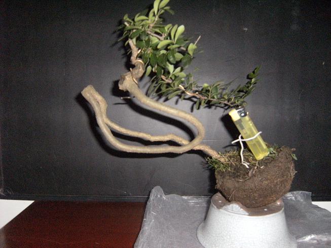 DSCF6527.JPG
