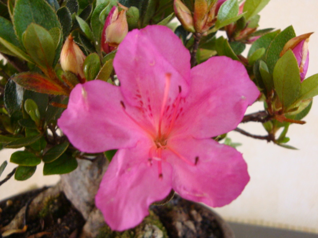 DSC09189.JPG