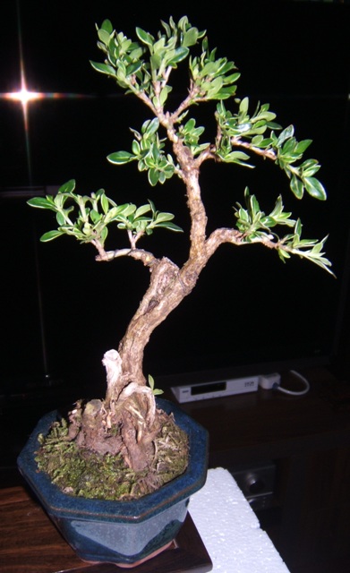 DSCF3989.JPG