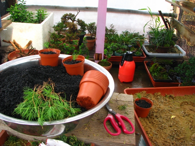 IMG_0221 (640x480).jpg