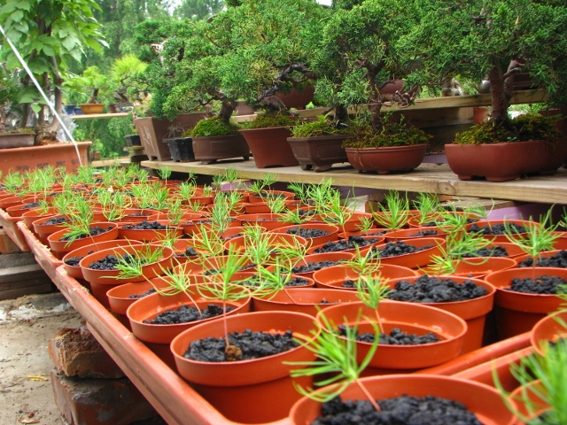 IMG_0227 (640x480).jpg