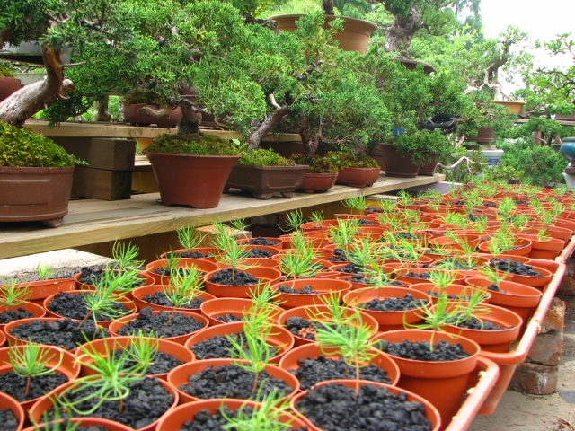 IMG_0228 (640x480).jpg