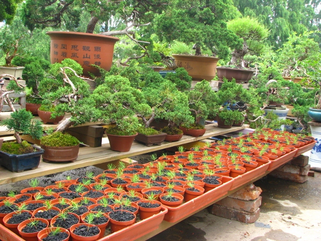 IMG_0229 (640x480).jpg